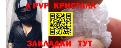 индика Нальчик