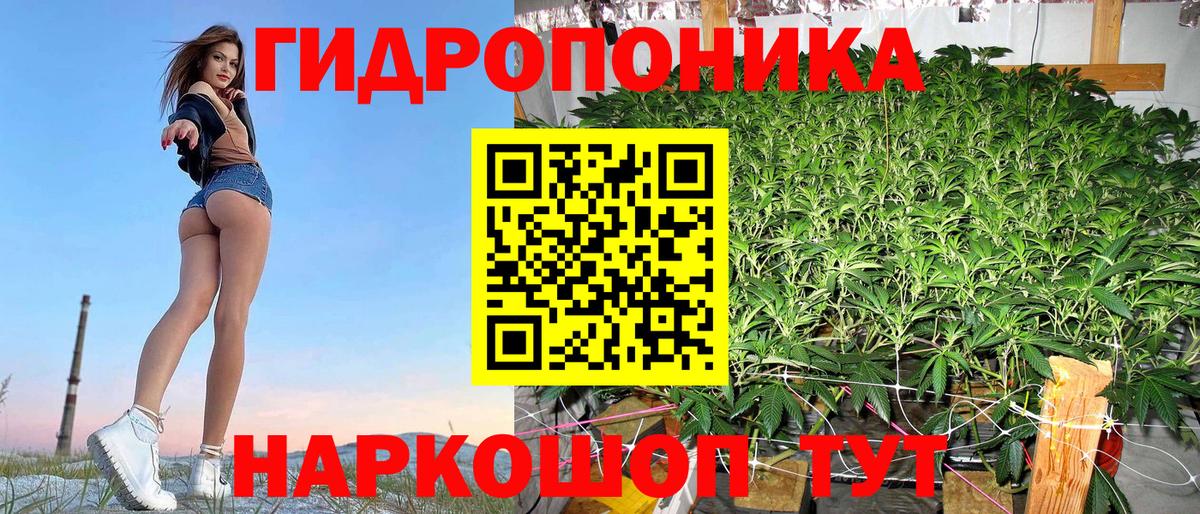 Каннабис планчик Сургут